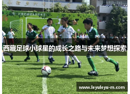 西藏足球小球星的成长之路与未来梦想探索