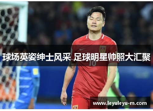 球场英姿绅士风采 足球明星帅照大汇聚