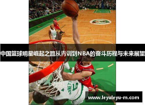 中国篮球明星崛起之路从青训到NBA的奋斗历程与未来展望