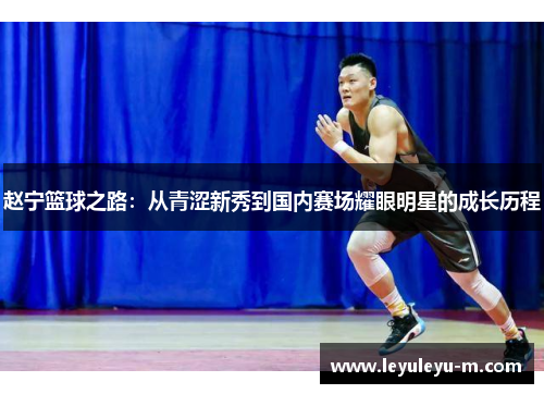 赵宁篮球之路：从青涩新秀到国内赛场耀眼明星的成长历程